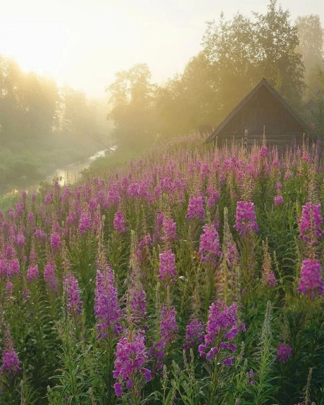 Прикольные и просто красивые картинки 14.05.2024