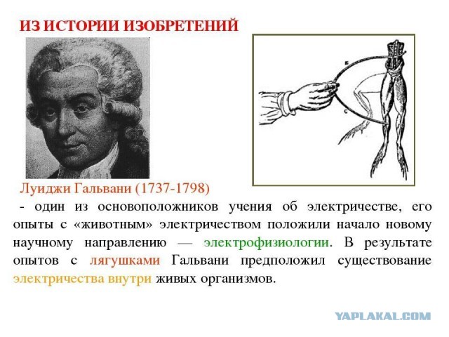 Новый тренажер
