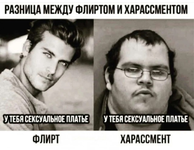 Весёлый полтишок 20.05.24