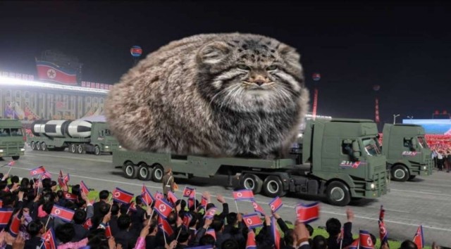 Никакие картинки