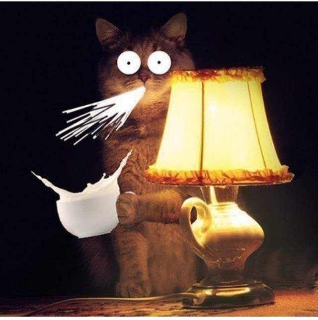 Мажорное свидание