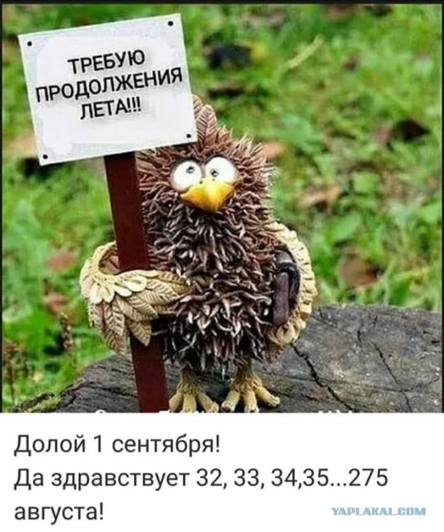 Картинки разные с надписями и без