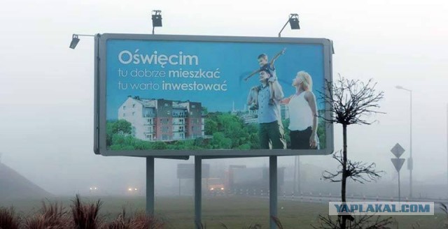 О свинском поведении туристов