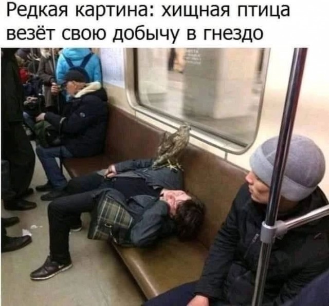 Так себе картинки 18.11.24
