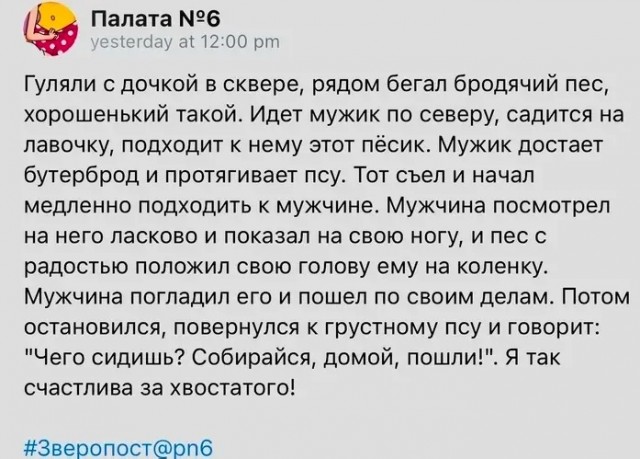 Так себе картинки 22.11.24