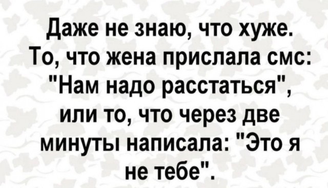 Весёлый полтишок 19.12.24