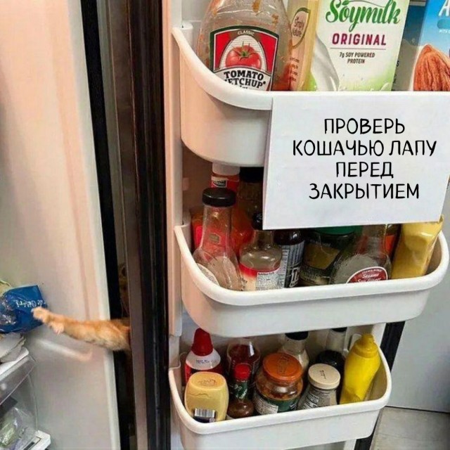 Так себе картинки 20.01.25