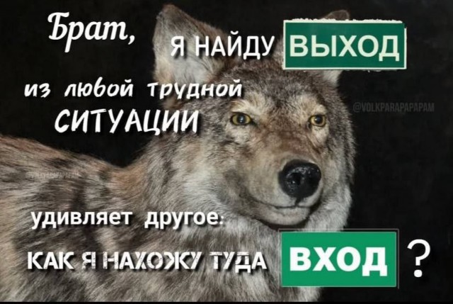 Всего понемногу. От 06.02