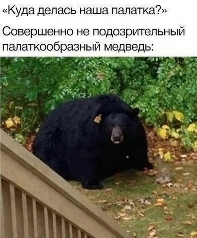Здесь кто-то курит?