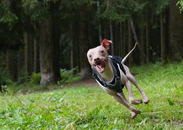 Заряд позитива: взгляните на 25 самых забавных снимков