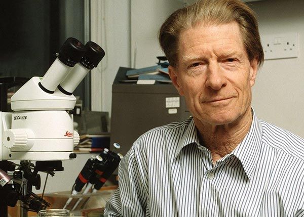 Умер британский биолог Джон Гердон, по методу которого клонировали овечку Долли