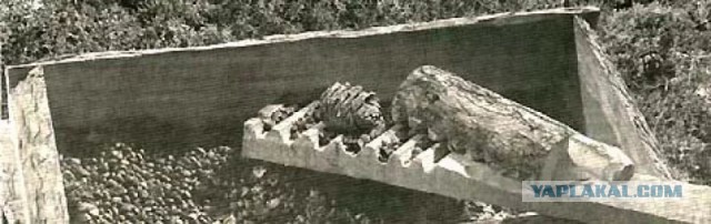 Для чего сия приблуда