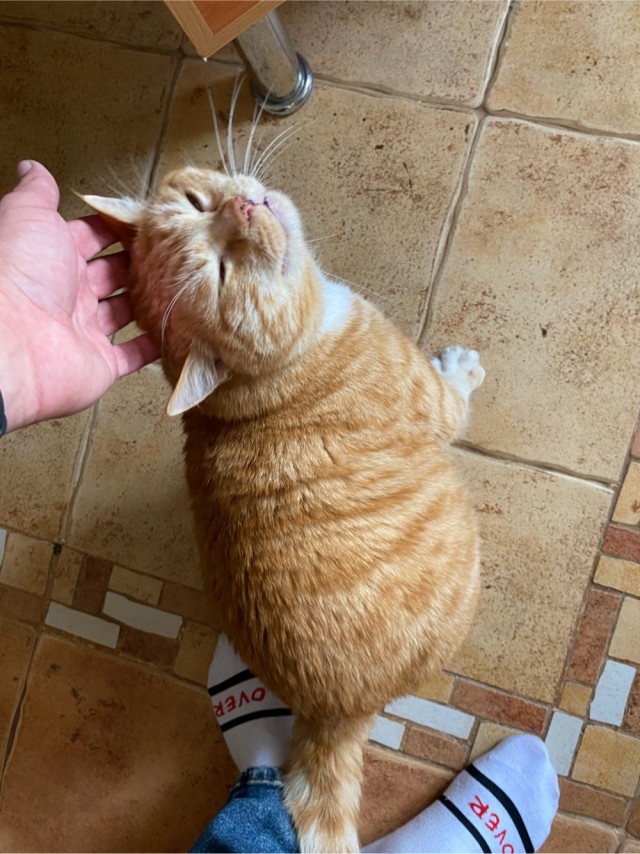 Оглянись, незнакомый прохожий