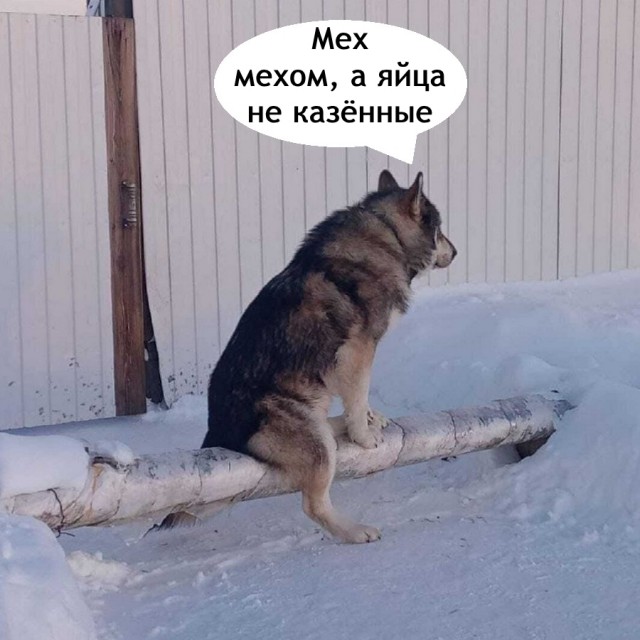 Так себе картинки 21.12.25