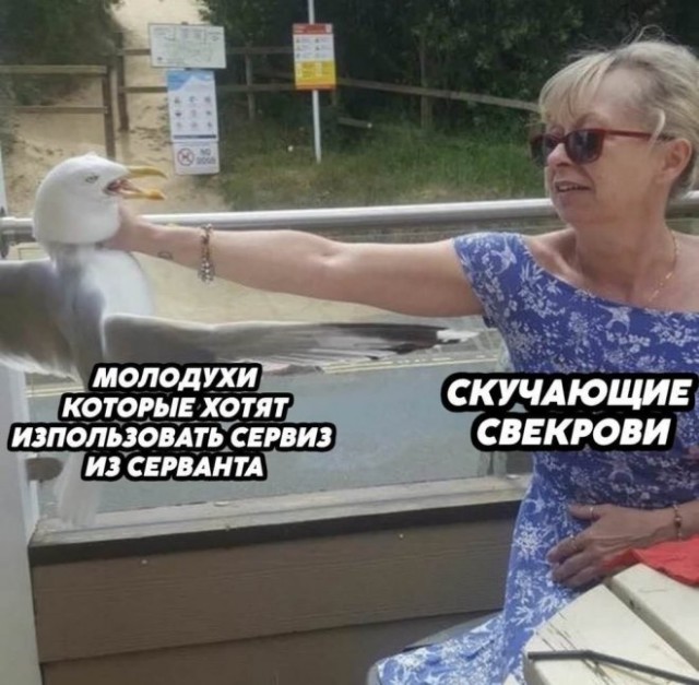 Веселые картинки в пятницу (26.12)