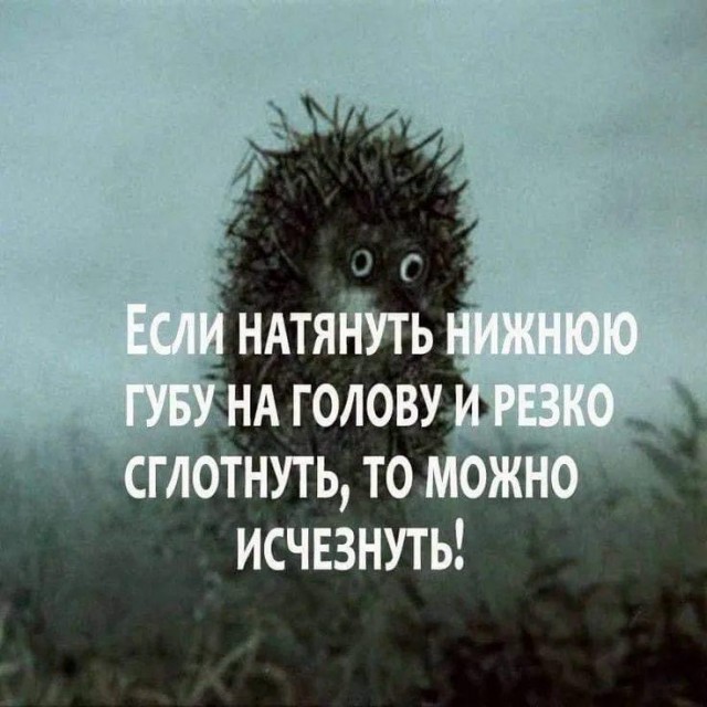 Среды картинки