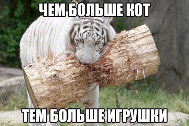 Так себе картинки 03.09.26