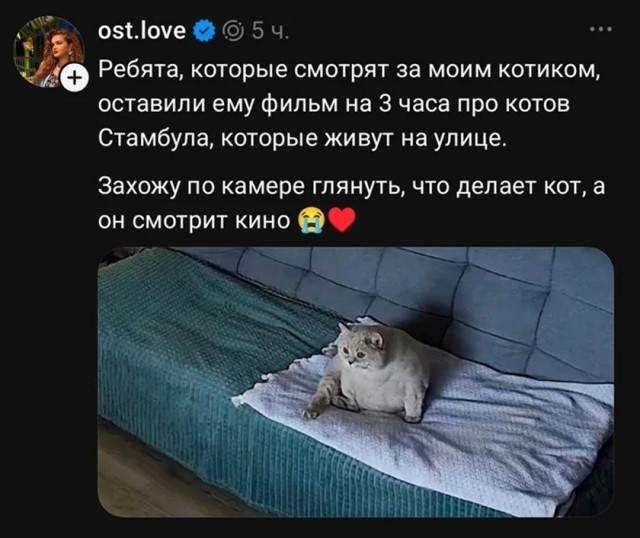Так себе картинки 12.10.26