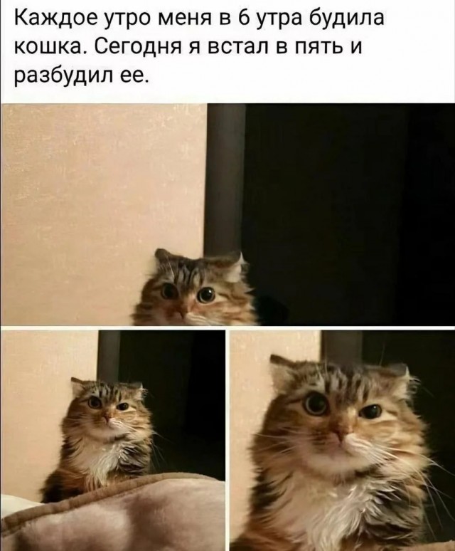 Это, как его?...