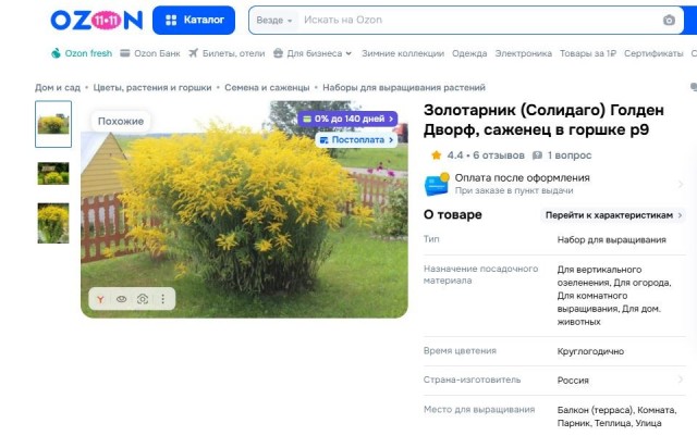 Владельцев дач предупредили о штрафах за желтый декоративный куст