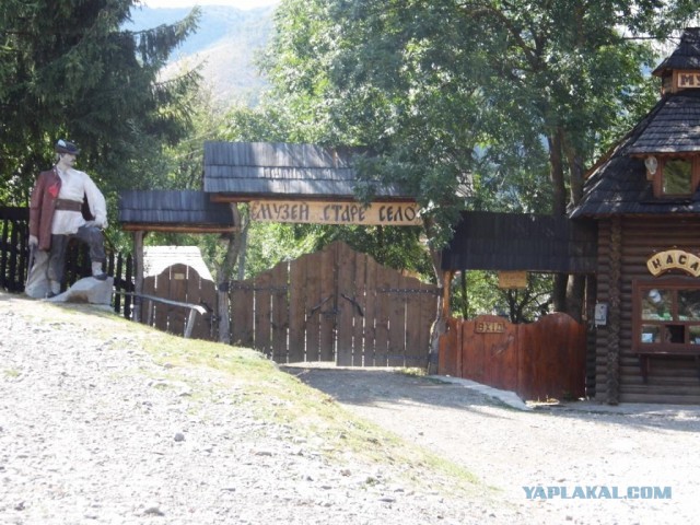 В Карпатах