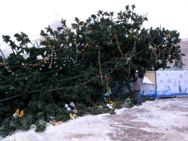 Главная елка Владивостока рухнула