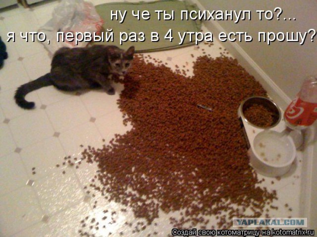 Не про олимпиаду