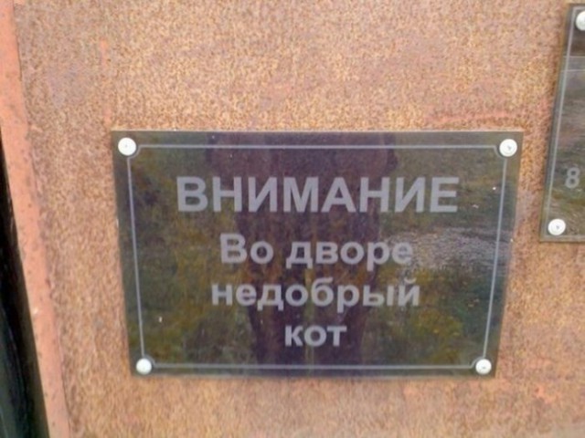 Картинки с просторов интернета