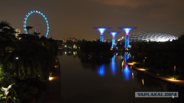 Сингапур. Гостиница "Марина Бэй"