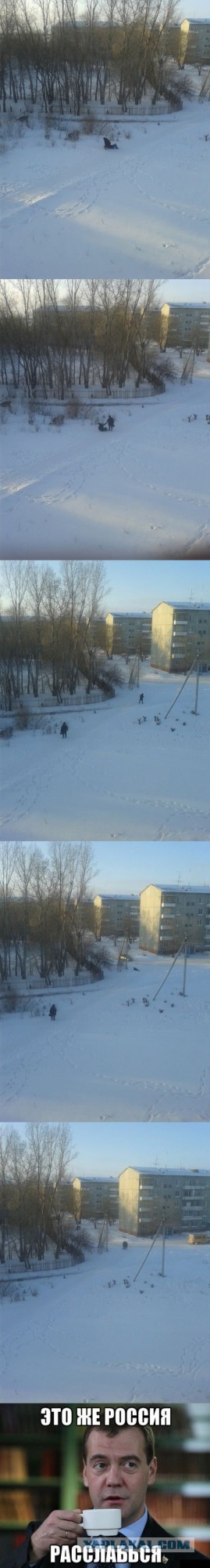 Прикольные картинки.