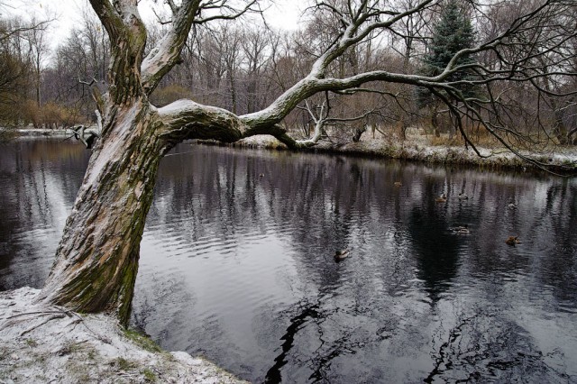 Первая мировая: Реконструкция