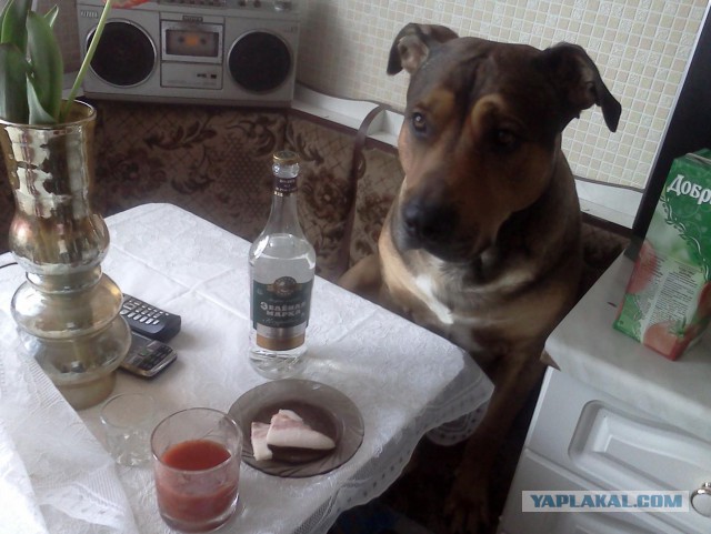 Что то пошло не так