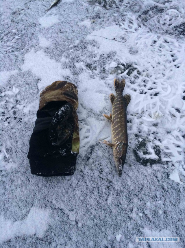 Рыбалка бывает разной...