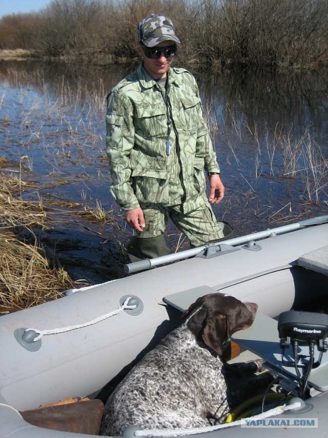 Собакочетверг 26.02.2015