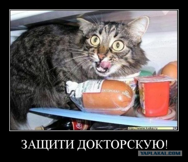 Забавные картинки из Сети