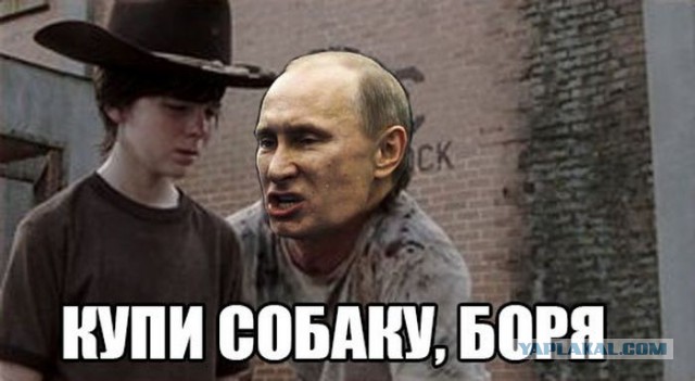 «Прямая линия» с Владимиром Путиным