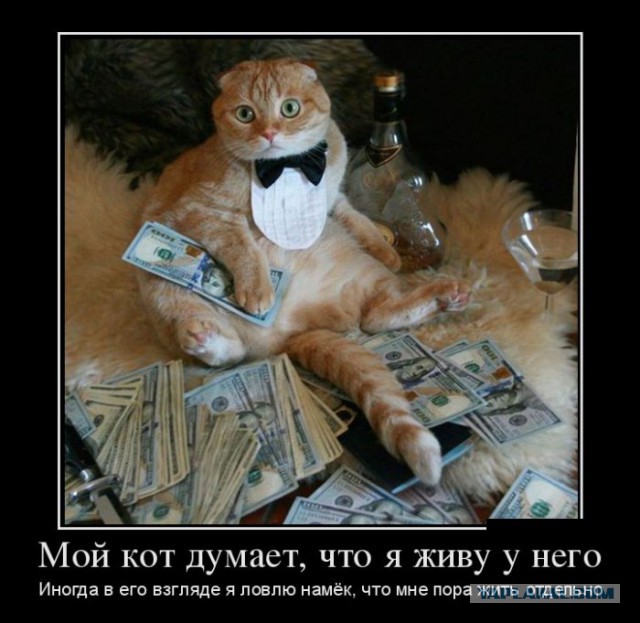 Картинки разные