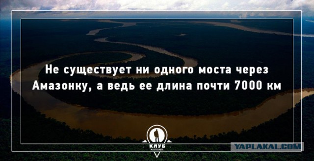 Интересные факты о воде