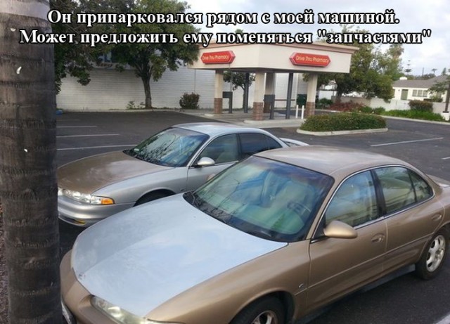 Веселые картинки