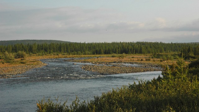 Деревенская Америка