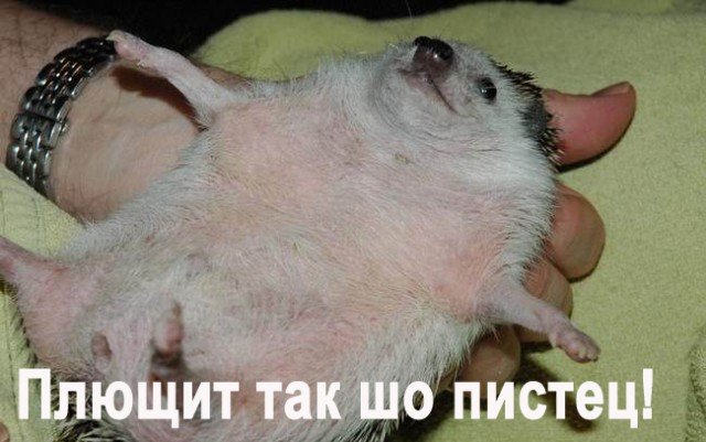 Уже да :) Ужо пятнецца...