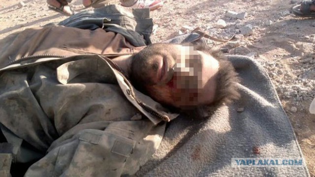 В Сирии сбили боевой самолет, пилота взяли в плен