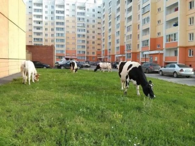 Подборка интересных и веселых фото