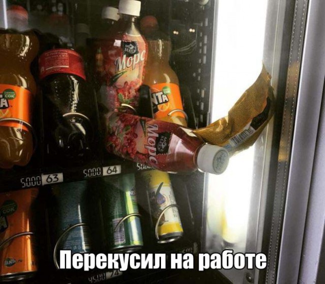 Фотоподборка в стиле "когда тебе не везет и как с этим бороться"