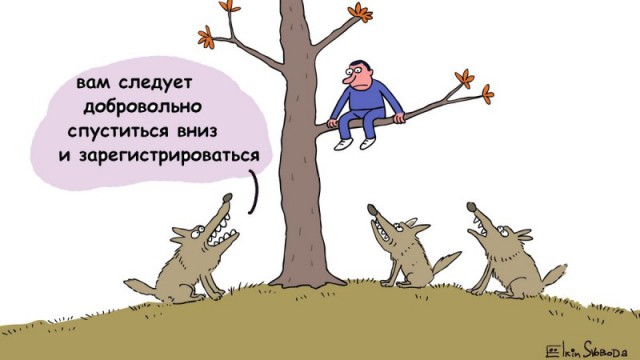 Какие нововведения ждут дачников после принятия нового закона