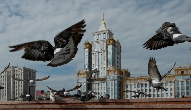 Подборка интересных и веселых картинок