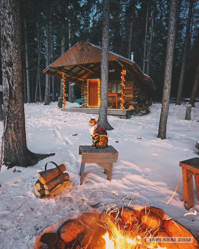 Оплот одиночества