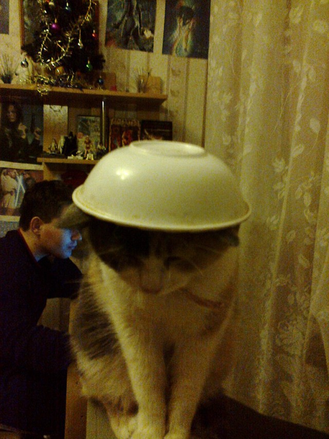 Живность из сети