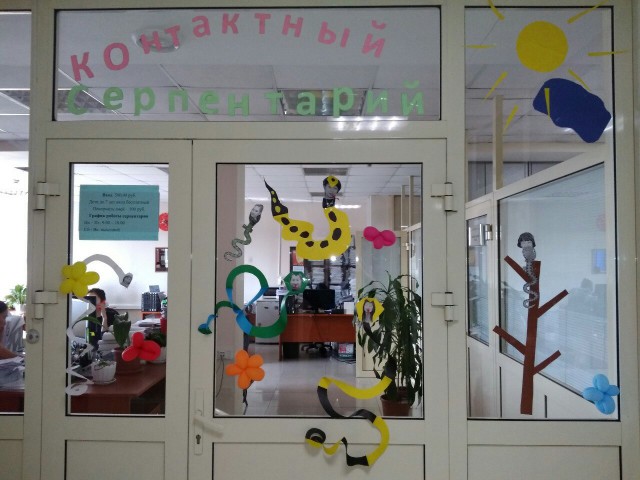 Женский коллектив