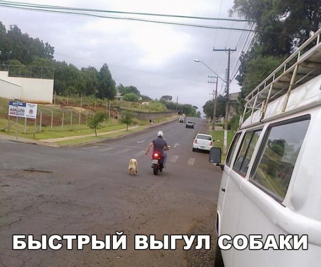 Прикольные картинки обо всем